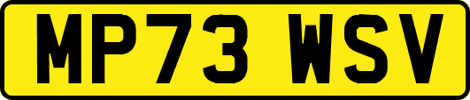 MP73WSV