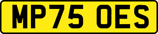 MP75OES