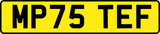 MP75TEF