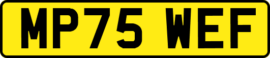 MP75WEF