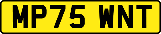MP75WNT