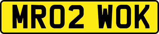 MR02WOK
