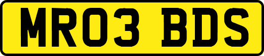MR03BDS