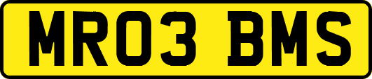 MR03BMS