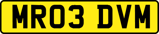 MR03DVM