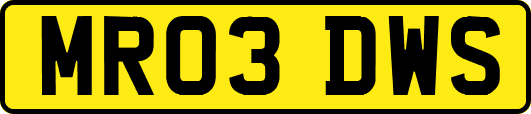 MR03DWS