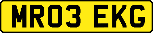MR03EKG