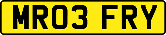 MR03FRY