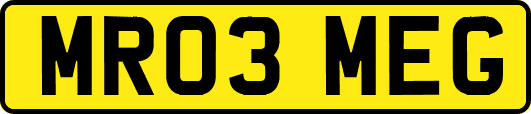 MR03MEG