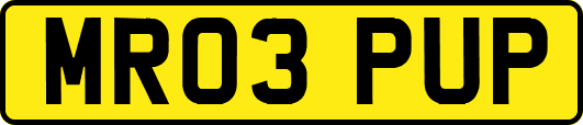 MR03PUP
