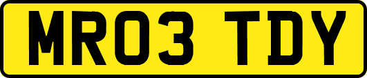 MR03TDY