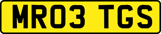 MR03TGS