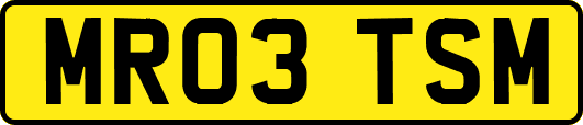 MR03TSM