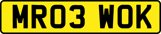 MR03WOK