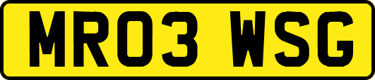 MR03WSG