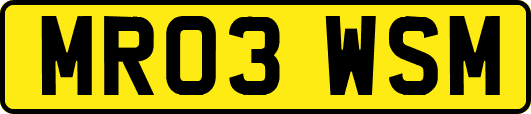 MR03WSM