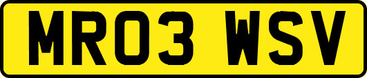 MR03WSV