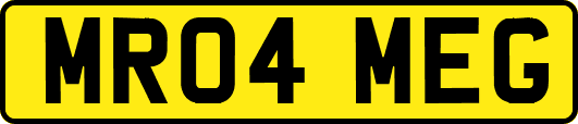 MR04MEG