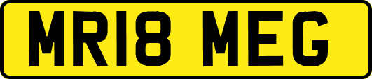 MR18MEG