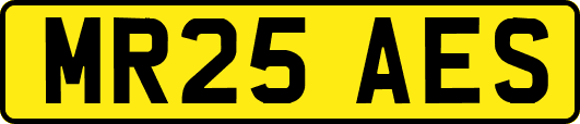 MR25AES