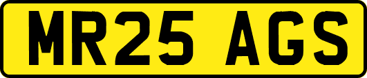 MR25AGS