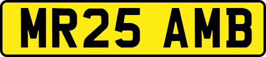 MR25AMB