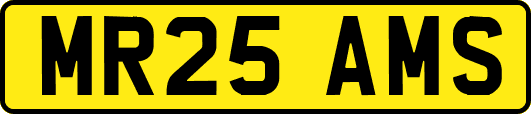 MR25AMS