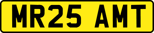 MR25AMT