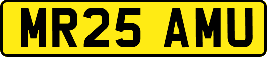 MR25AMU