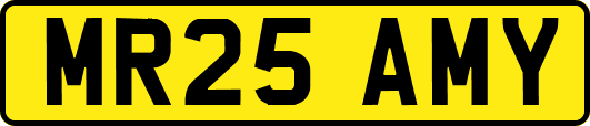 MR25AMY