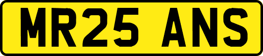 MR25ANS