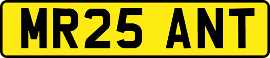 MR25ANT