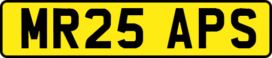 MR25APS
