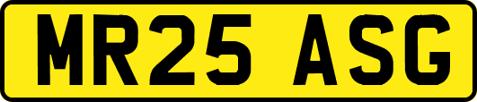 MR25ASG