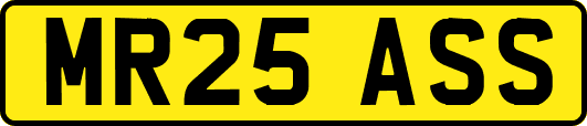 MR25ASS