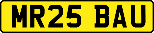 MR25BAU