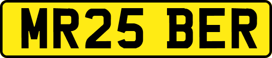 MR25BER