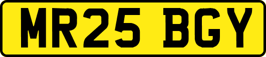 MR25BGY