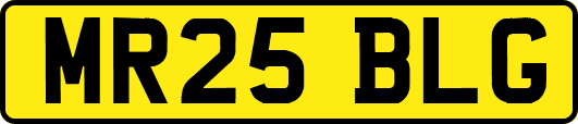 MR25BLG
