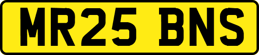 MR25BNS