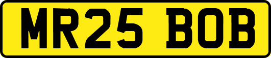MR25BOB