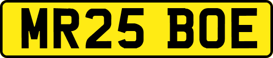MR25BOE