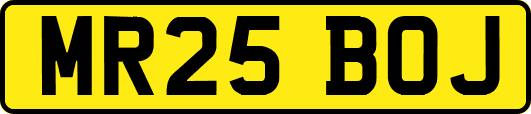 MR25BOJ