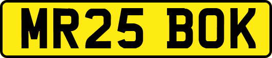 MR25BOK