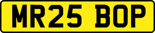 MR25BOP