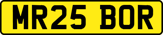 MR25BOR