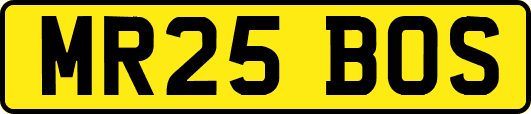 MR25BOS