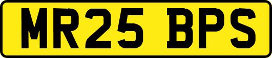 MR25BPS
