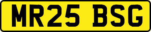 MR25BSG