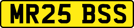 MR25BSS